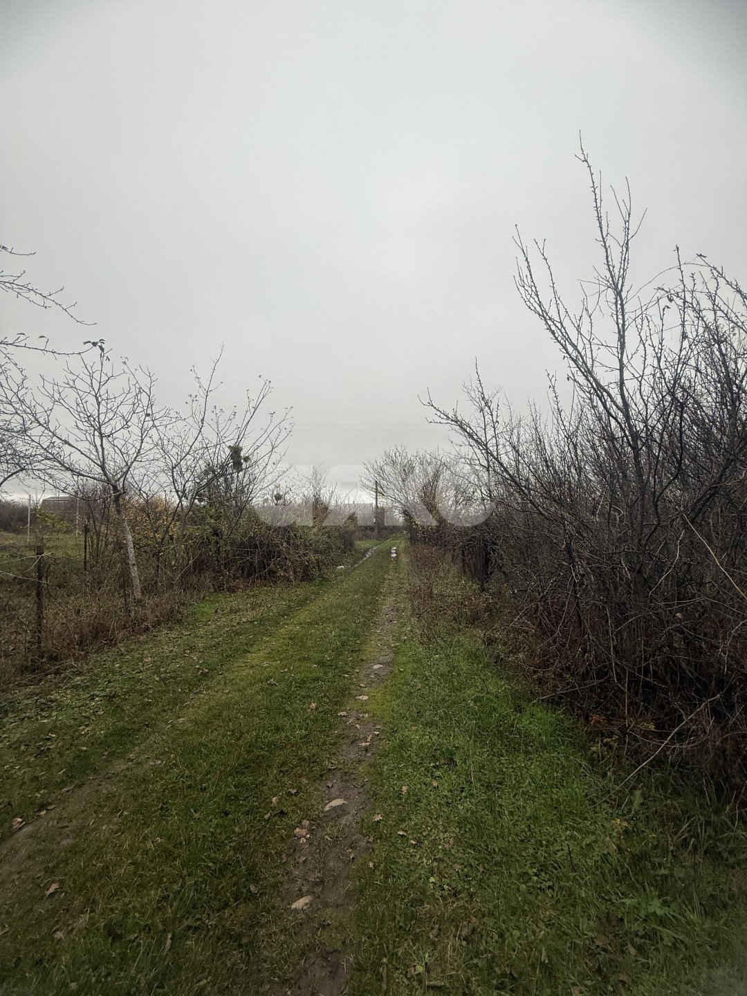 Фото №8: Участок садоводство 5 сот. - Майкоп, мкр. СНТ Звёздочка, ул. Роз, 23