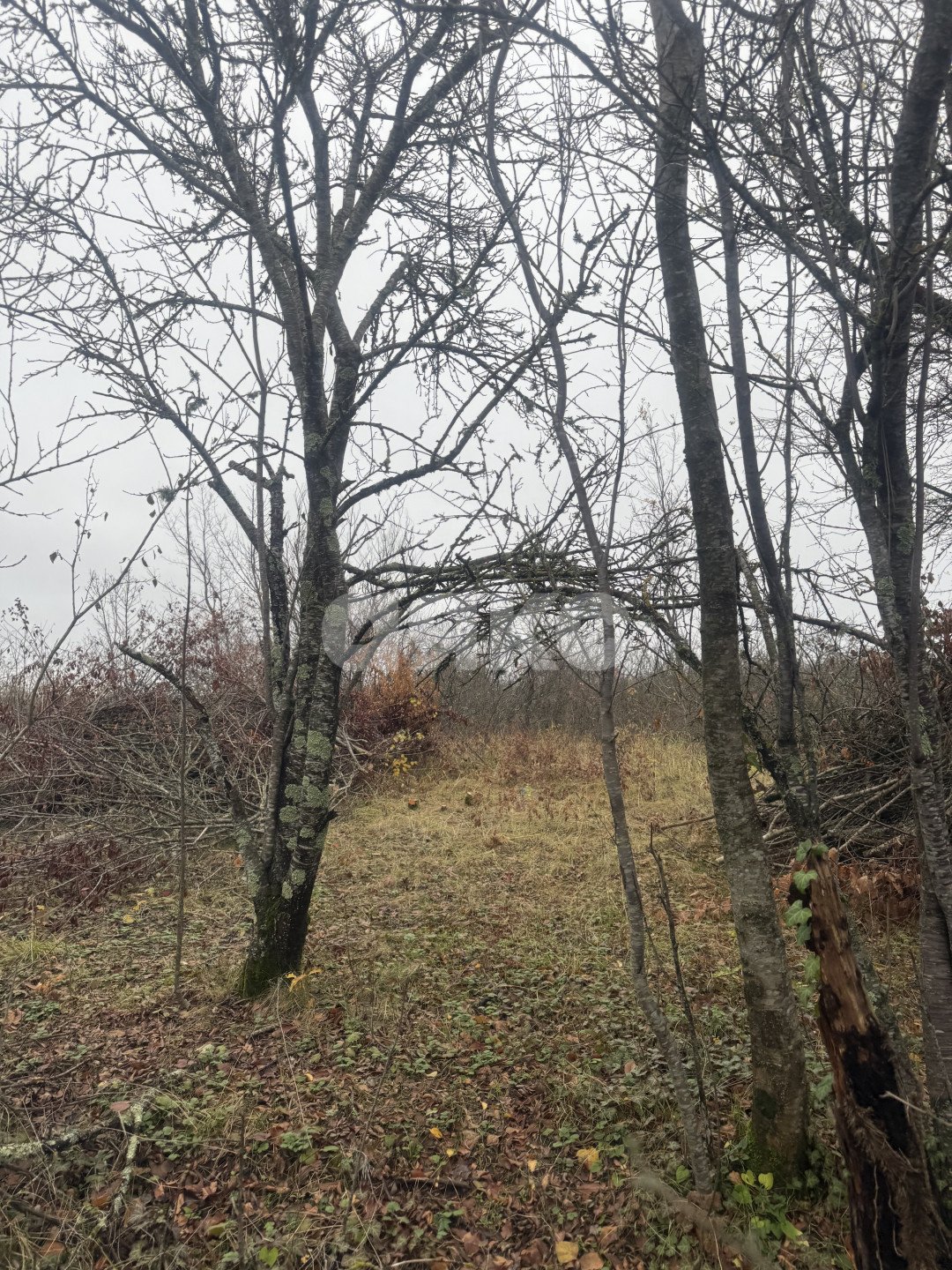 Фото №2: Участок садоводство 5 сот. - Майкоп, мкр. СНТ Звёздочка, ул. Роз, 23