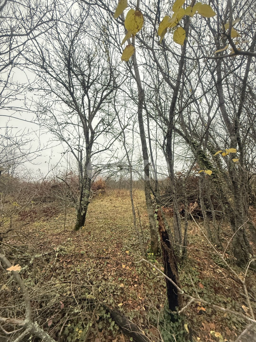 Фото №1: Участок садоводство 5 сот. - Майкоп, мкр. СНТ Звёздочка, ул. Роз, 23