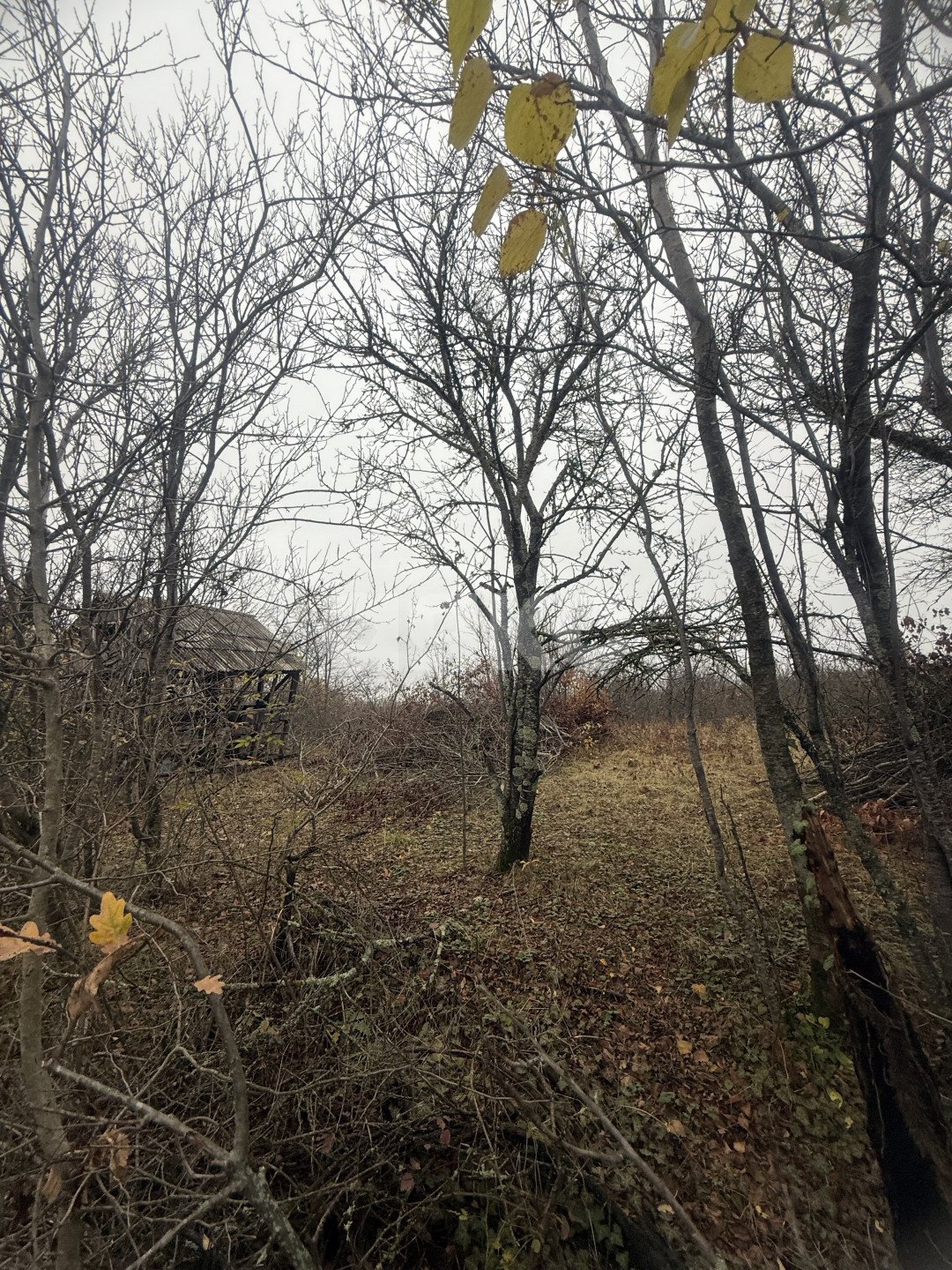 Фото №3: Участок садоводство 5 сот. - Майкоп, мкр. СНТ Звёздочка, ул. Роз, 23