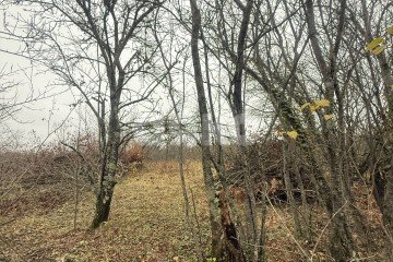 Фото №4: Участок садоводство - Майкоп, мкр. СНТ Звёздочка, ул. Роз, 23