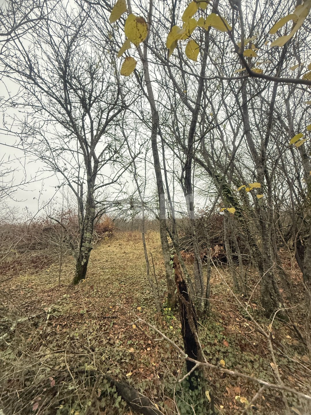 Фото №4: Участок садоводство 5 сот. - Майкоп, мкр. СНТ Звёздочка, ул. Роз, 23