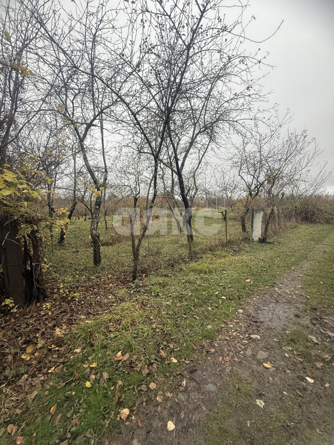 Фото №6: Участок садоводство 5 сот. - Майкоп, мкр. СНТ Звёздочка, ул. Роз, 23