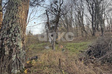 Фото №2: Земельный участок под ИЖС - Хамышки, ул. Садовая