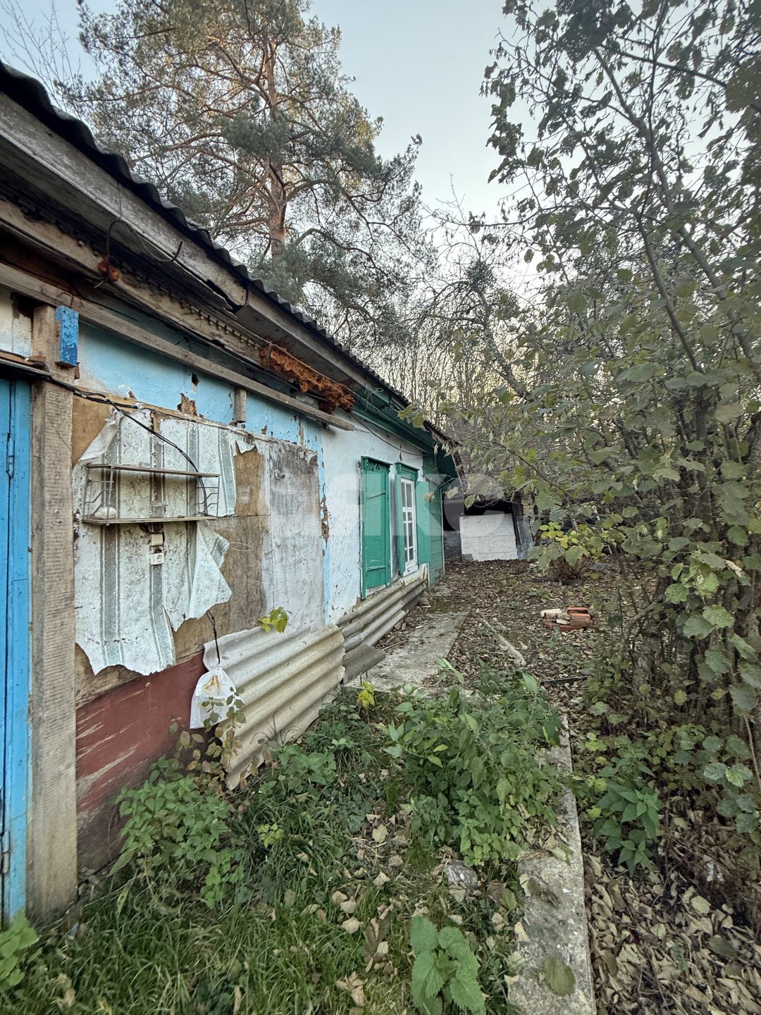 Фото №22: Земельный участок под ИЖС 11 сот. - Хамышки, ул. Садовая