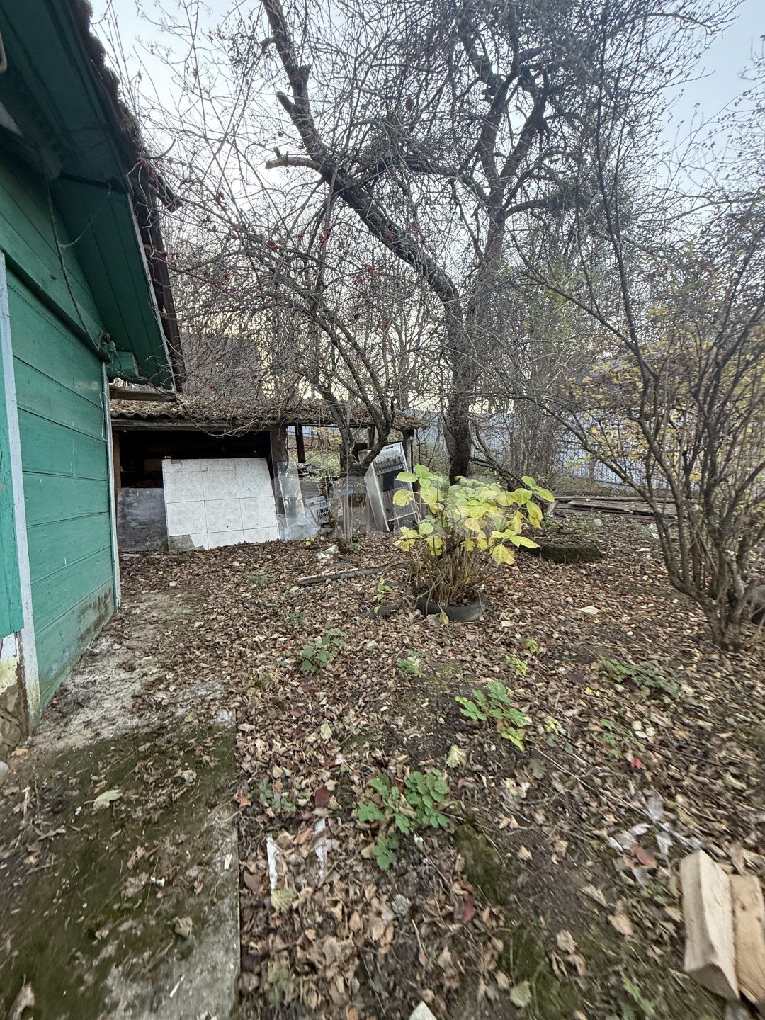 Фото №19: Земельный участок под ИЖС 11 сот. - Хамышки, ул. Садовая