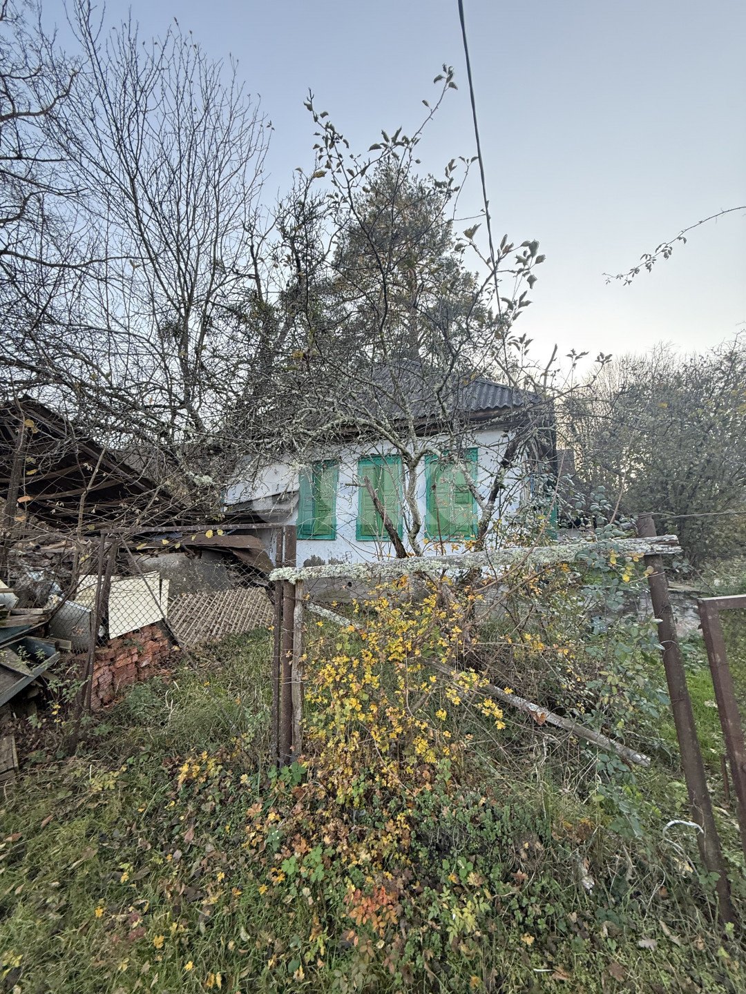 Фото №20: Земельный участок под ИЖС 11 сот. - Хамышки, ул. Садовая