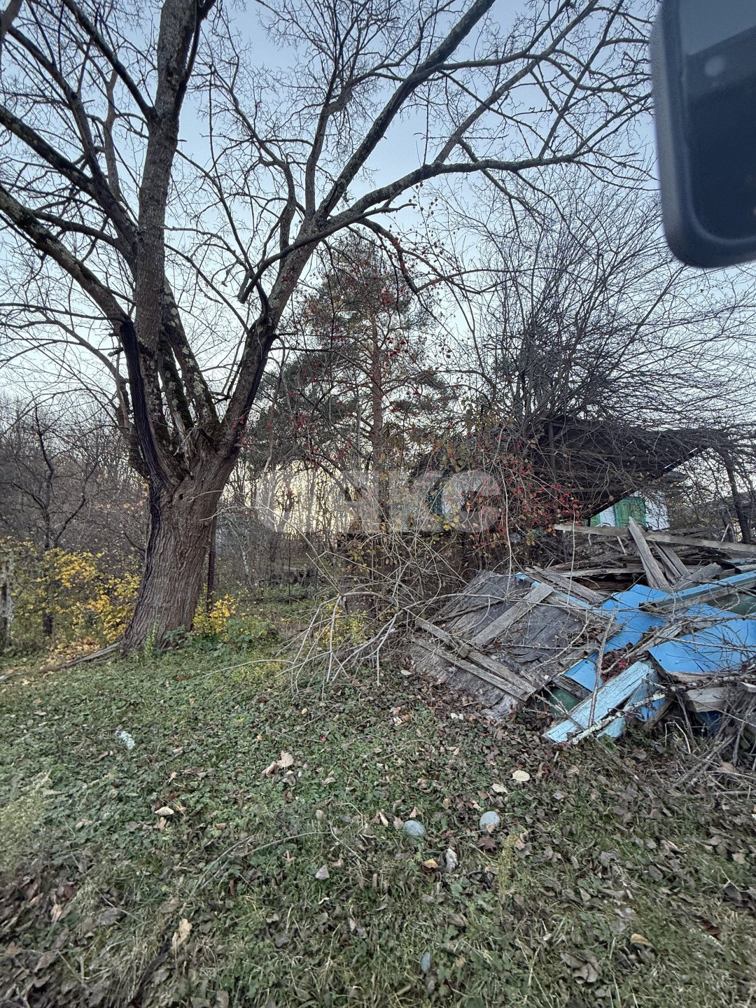 Фото №3: Земельный участок под ИЖС 11 сот. - Хамышки, ул. Садовая