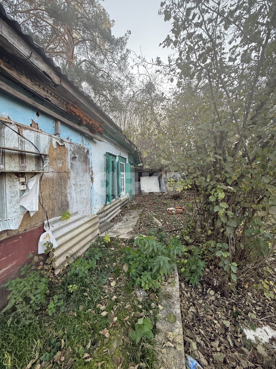 Фото №16: Земельный участок под ИЖС 11 сот. - Хамышки, ул. Садовая