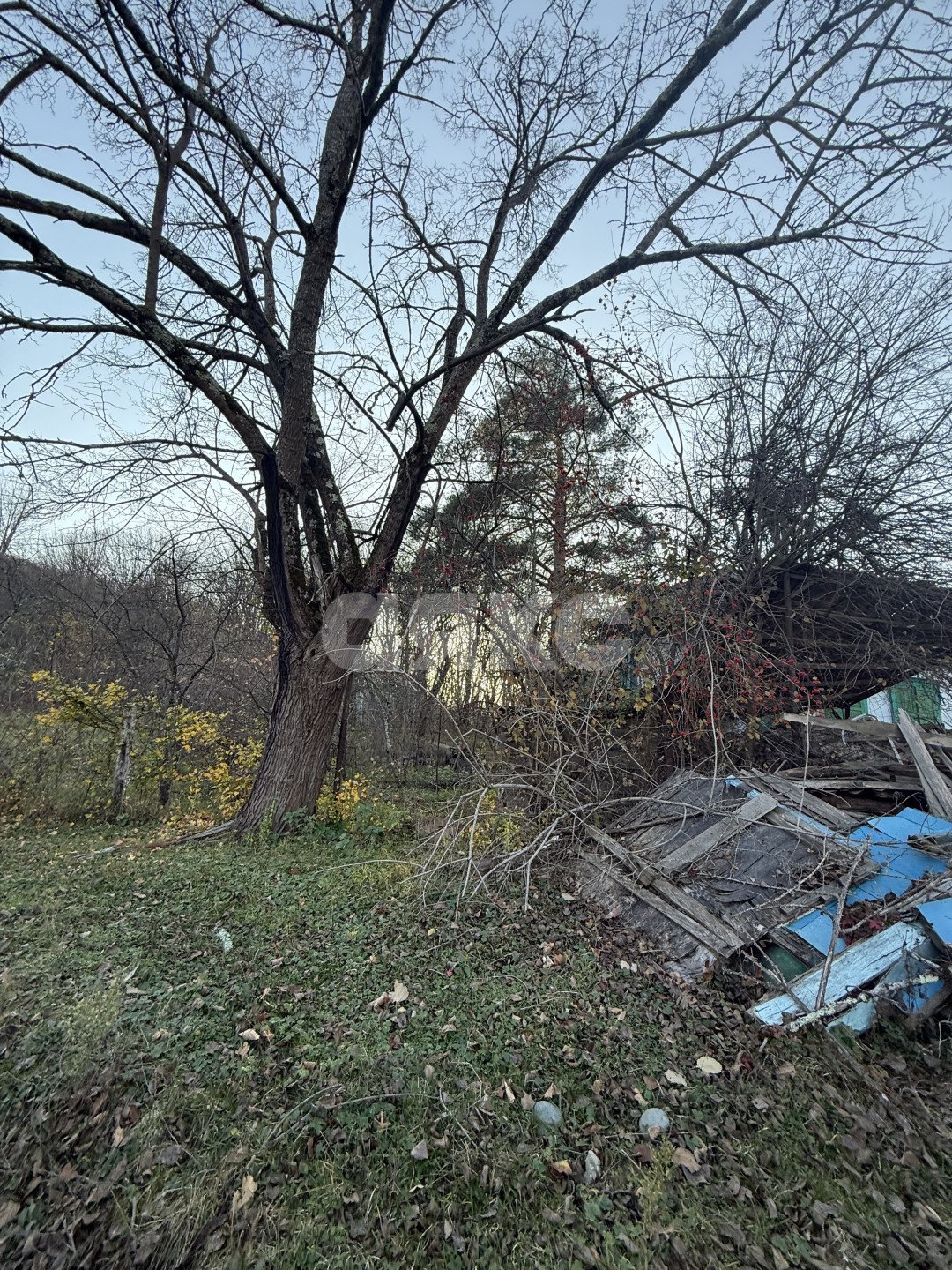 Фото №24: Земельный участок под ИЖС 11 сот. - Хамышки, ул. Садовая