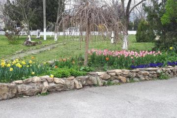 Фото №2: Коммерция 18 м² - Натухаевская, 