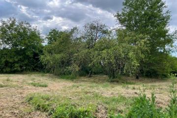 Фото №4: Земельный участок 17 сот. - Смоленская, ул. Шолохова, 15