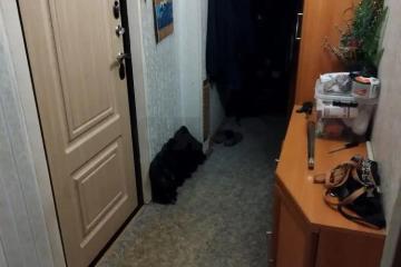 Фото №4: 2-комнатная квартира 44 м² - Краснодар, мкр. Западный внутригородской округ, ул. Фёдора Лузана, 19