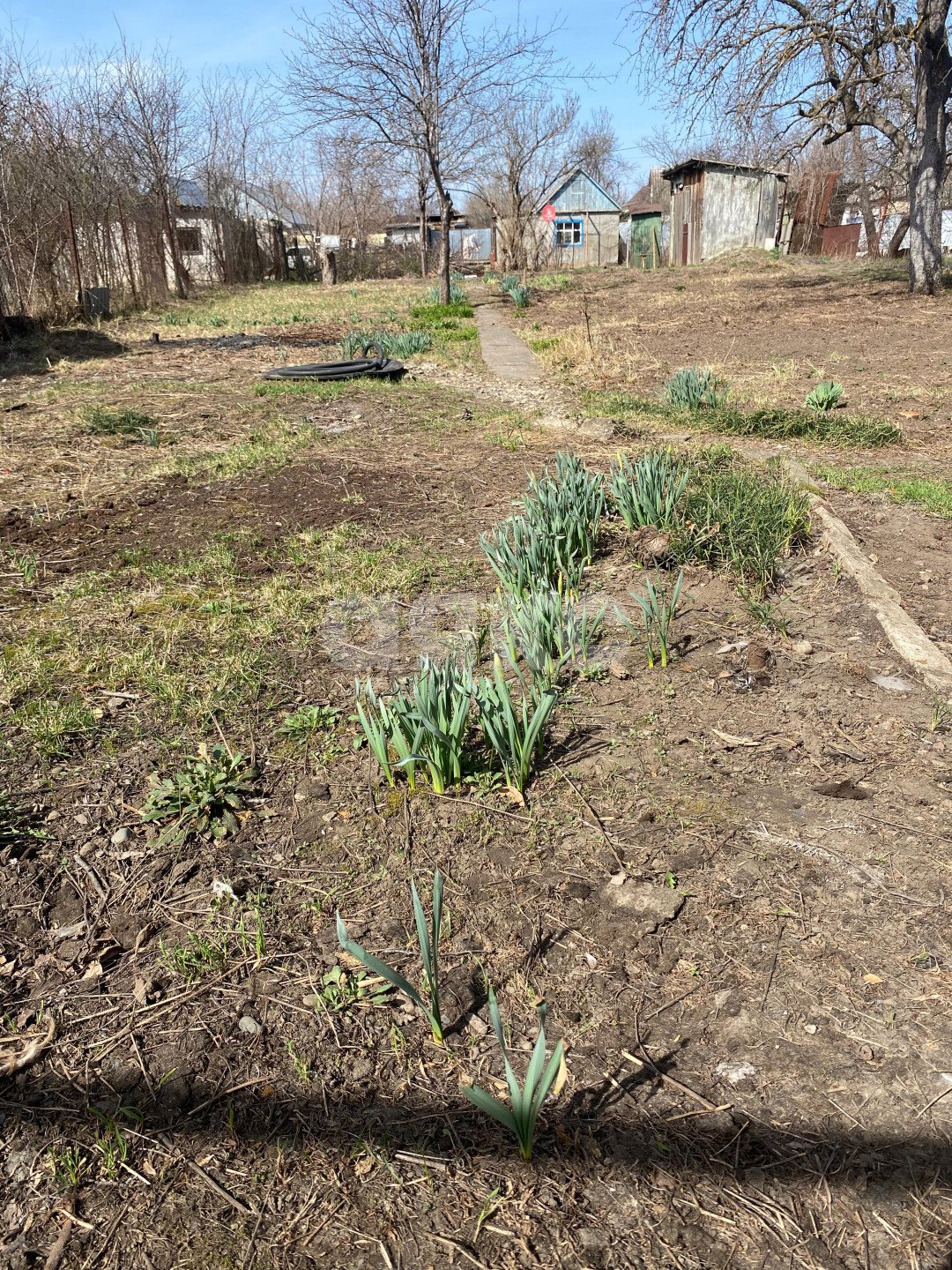 Фото №10: Дача 12 м² + 4.06 сот. - Майкоп, мкр. ДНТ Космос, ул. Фабричная