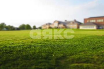 Фото №5: Земельный участок под ИЖС - Северо-Восточные Сады, ул. Прогрессивная